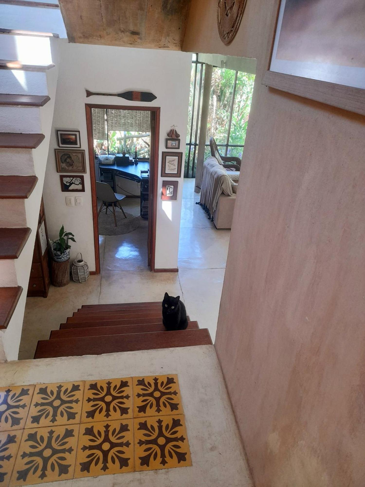 Casa De Vidro Διαμέρισμα Petrópolis Εξωτερικό φωτογραφία
