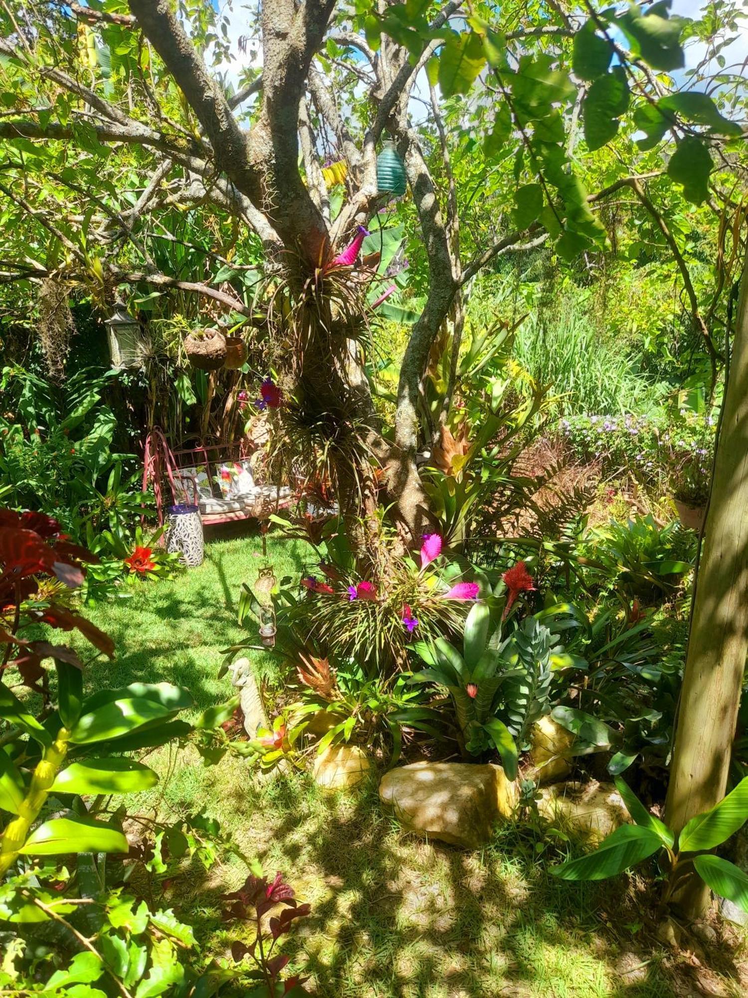 Casa De Vidro Διαμέρισμα Petrópolis Εξωτερικό φωτογραφία